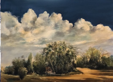 View From My Driveway