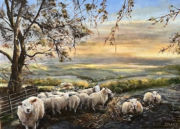 Welsh Farm