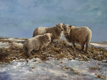 Winter Feed